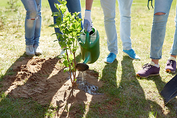 Image showing group of volunteers planting and watering tree