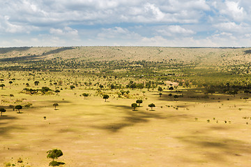 Image showing maasai mara national reserve savanna at africa