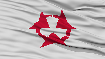 Image showing Closeup Oita Japan Prefecture Flag