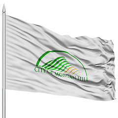 Image showing Morgan Hill City Flag on Flagpole, USA