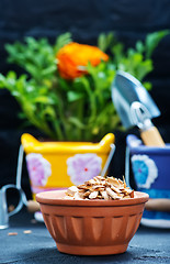 Image showing garden supplies