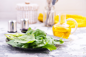 Image showing raw spinach