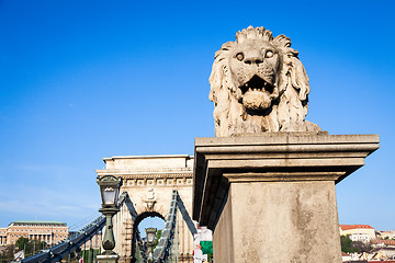 Image showing BUDAPEST, HUNGARY - 2017 MAY 19th: lion statue at the beginning 