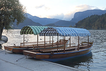 Image showing Boats at Bled