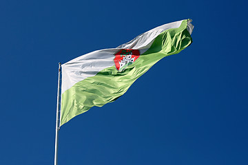 Image showing Ljubljana Flag