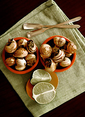 Image showing Snails with Garlic Butter