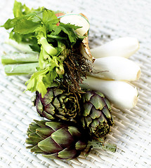 Image showing Ingredients of Artichoke Soup