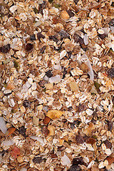 Image showing Muesli cereal with seeds, mixed fruit and nuts background