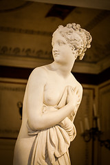 Image showing VENICE, ITALY - JUNE 27, 2016: Venus Statue detail in Palazzo Du