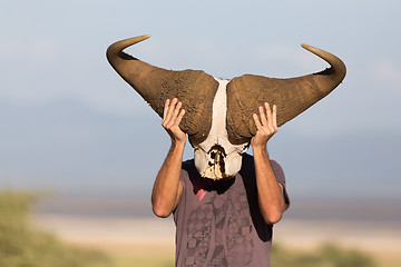 Image showing Man holding big african buffalo skull wearing it like a mask in nature on african wildlife safari.