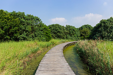 Image showing Wetland