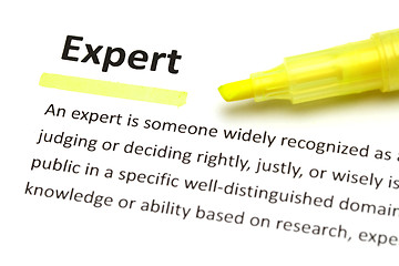 Image showing Yellow marker on expert word 