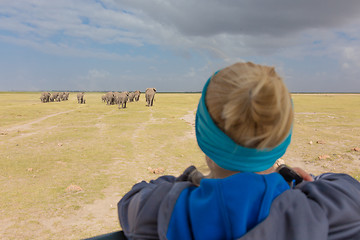 Image showing Woman watching herd of elephants on african wildlife safari. Amboseli, Kenya.