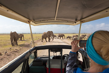 Image showing Woman taking photos on african wildlife safari. Amboseli, Kenya.