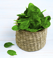 Image showing Raw Spinach Leafs