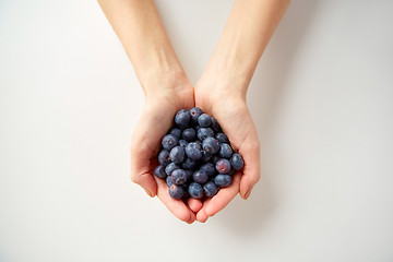 Image showing close up of young woman hands holding blueberries