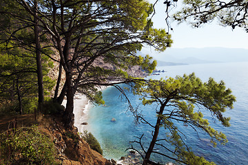 Image showing Top view on sea beach through pine-trees at sun day