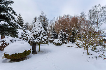 Image showing beautiful winter garden covered by snow