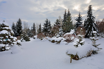 Image showing beautiful winter garden covered by snow