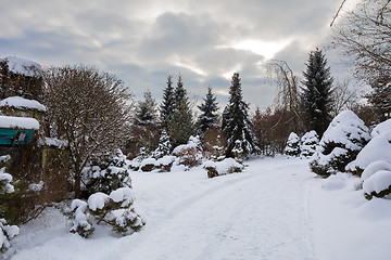 Image showing beautiful winter garden covered by snow