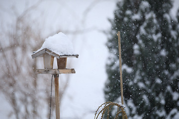 Image showing simple bird feeder in winter garden