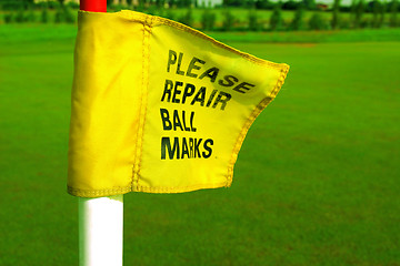 Image showing Repair ball marks