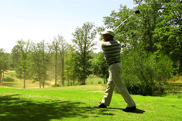 Image showing Golfer