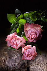 Image showing Roses And Old Wood