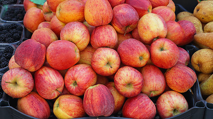 Image showing Apples