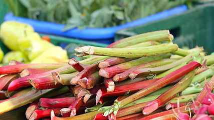 Image showing Rhubarb