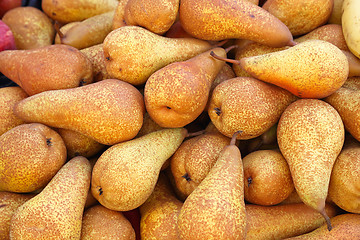 Image showing Pears