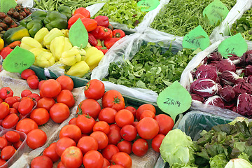 Image showing Fresh Groceries