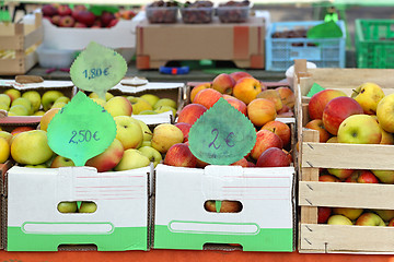 Image showing Fruits in Crates