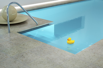 Image showing yellow rubber duck in an indoor pool