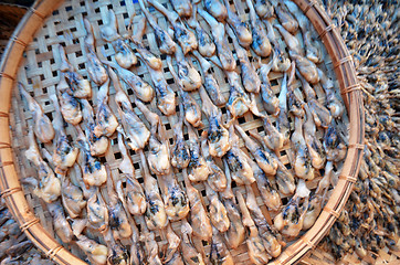 Image showing Dried oyster in Mae Klong Railway Market