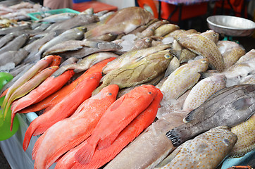 Image showing Fresh fishes just caught from sea are being sold at a market