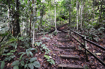 Image showing Wooden stairs up to mountain Kinabalu