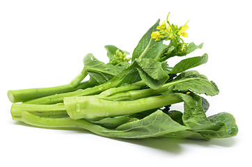 Image showing Bunch of floral choy sum green vegetable