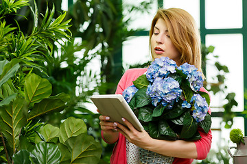 Image showing Woman with bouquet holding tablet