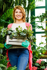 Image showing Florist with box of flowers