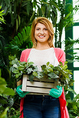 Image showing Woman with box of flowers