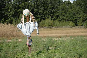 Image showing Scarecrow