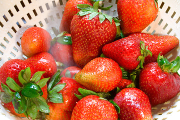 Image showing Strawberry Wash