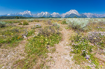 Image showing Grand Teton National Park Mountain Range in Wyoming, USA.