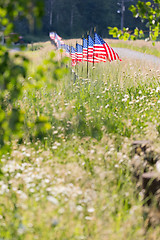 Image showing Row of American Flags on Fence