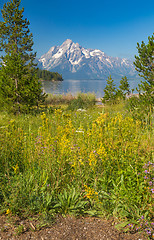 Image showing Grand Teton National Park Mountain Range in Wyoming, USA.