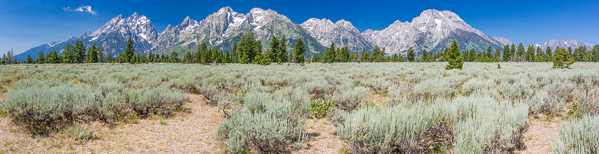 Image showing Pano of The Grand Teton National Park Mountain Range in Wyoming,