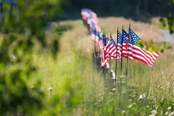 Image showing Row of American Flags on Fence