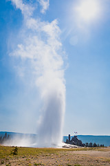 Image showing Old Faithful Geyser Erupting at Yellowstone National Park.