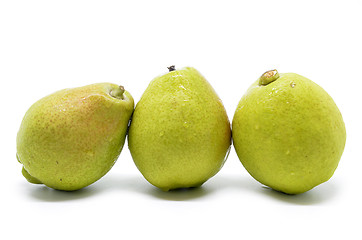 Image showing Chinese fragrant pear